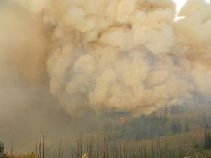 Heftige rookontwikkeling bij een bosbrand - foto door Forest Service Northern Region, Missoula, MT, USA