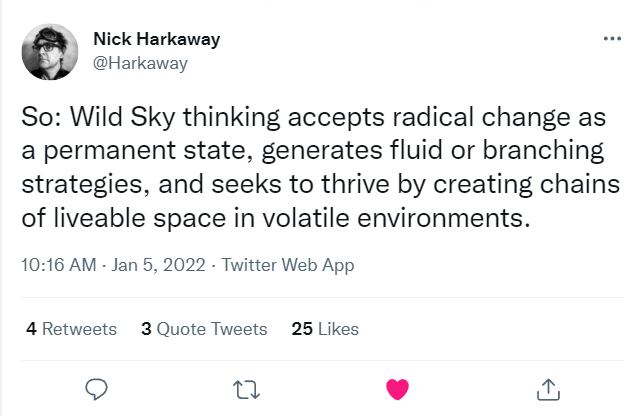 "Wild Sky thinking accepts radical change as a permanent state, generates fluid or branching strategies, and seeks to thrive by creating chains of liveable space in volatile environments."